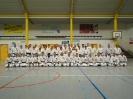 Hotton 2011
