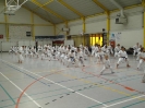 Hotton 2011