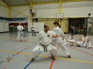 Hotton 2011