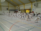 Hotton 2011