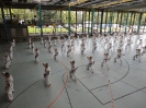 Summer Camp 2011