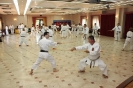 Mitsuya-Kai Summit 2012