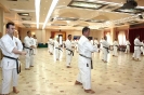 Mitsuya-Kai Summit 2012