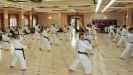 Mitsuya-Kai Summit 2012