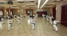 Mitsuya-Kai Summit 2012