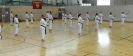Spring Camp 2013