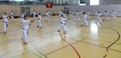 Spring Camp 2013