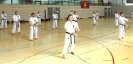 Spring Camp 2013
