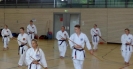 Spring Camp 2013