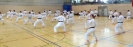 Spring Camp 2013