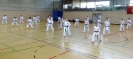 Spring Camp 2013