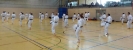 Spring Camp 2013