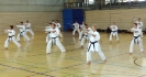 Spring Camp 2013