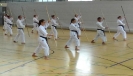 Spring Camp 2013