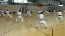 Spring Camp 2013