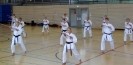 Spring Camp 2013