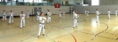 Spring Camp 2013