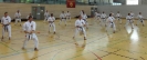 Spring Camp 2013