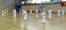 Spring Camp 2013