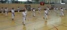 Spring Camp 2013