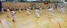 Spring Camp 2013