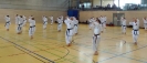 Spring Camp 2013
