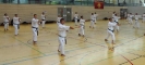 Spring Camp 2013