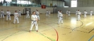 Spring Camp 2013
