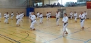Spring Camp 2013