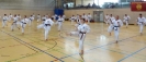 Spring Camp 2013