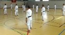 Spring Camp 2013