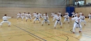Spring Camp 2013