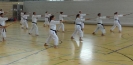 Spring Camp 2013