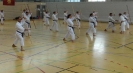 Spring Camp 2013