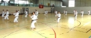 Spring Camp 2013