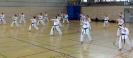 Spring Camp 2013