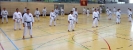 Spring Camp 2013