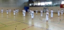 Spring Camp 2013