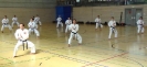 Spring Camp 2013