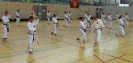 Spring Camp 2013