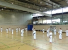 Spring Camp 2013