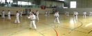 Spring Camp 2013