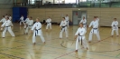 Spring Camp 2013