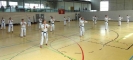 Spring Camp 2013