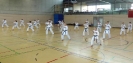 Spring Camp 2013