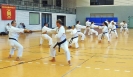  Ludwigsburg 2013