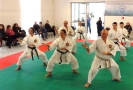 Montalto di Castro 2013