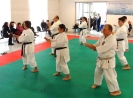 Montalto di Castro 2013