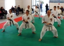 Montalto di Castro 2013