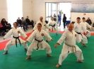 Montalto di Castro 2013